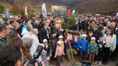 Bursa'nın Gürsu ilçesinde temmuz ayında