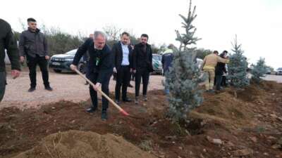 İnegöl, 11 Kasım Milli Ağaçlandırma