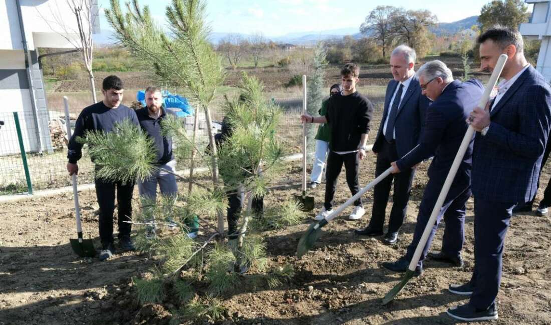 Yaşanan orman yangınları sonrası