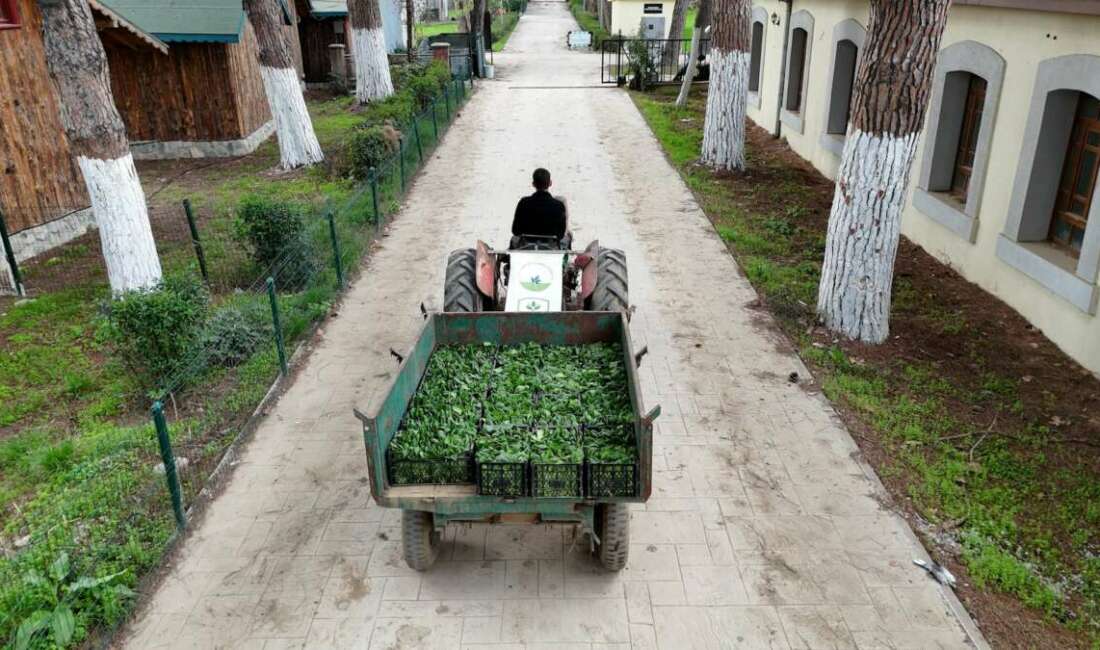 Osmangazi Belediyesi’nin hayata geçirdiği