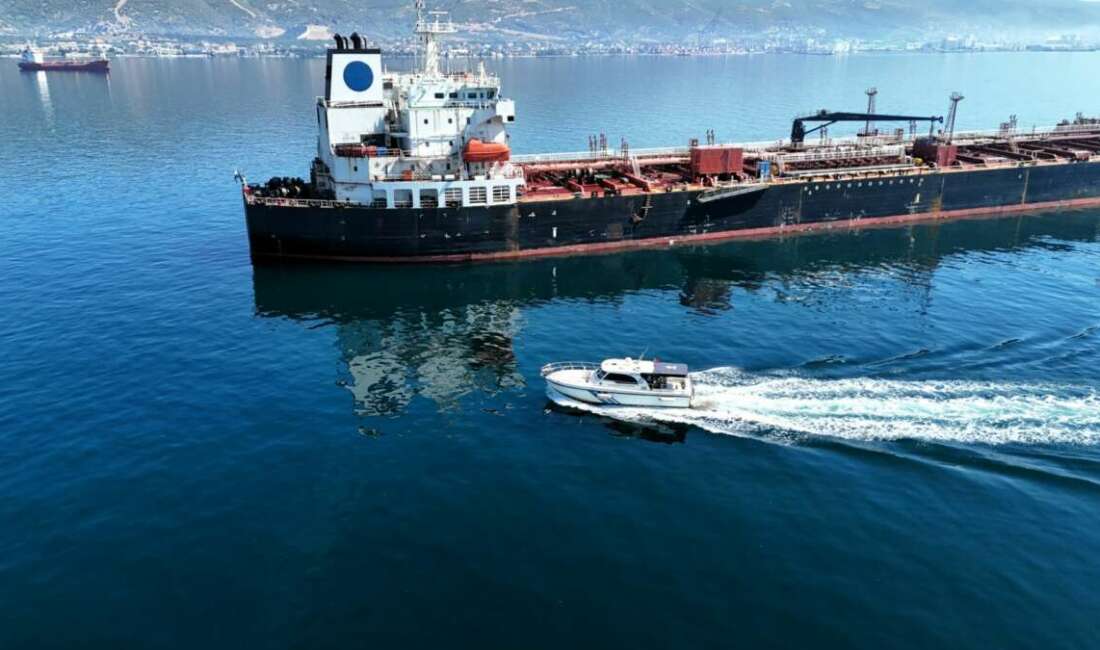 İzmit Körfezi'nde 2008 yılından