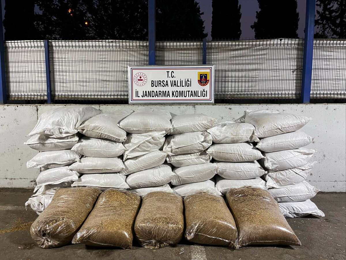 Jandarmadan kaçak sigara operasyon