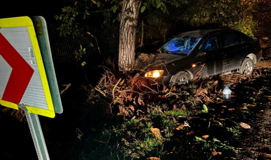 Kontrolden çıkan otomobil ağaca çarptı: 3 kişi yaralandı Bursa'nın İnegöl ilçesinde kontrolden