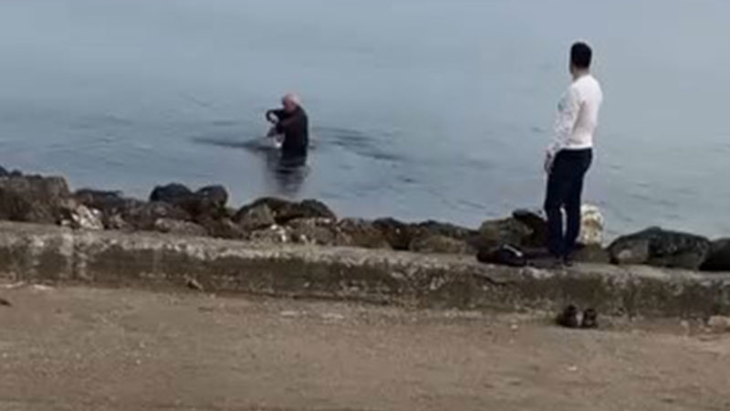 Mudanya sahilinde oltaya takılan martıyı vatandaş kurtardı Bursa'nın Mudanya ilçesi Güzelyalı