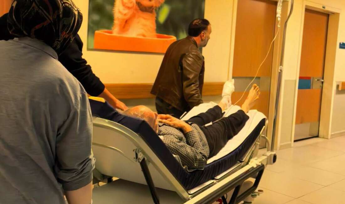  Bursa'nın İnegöl ilçesinde odun