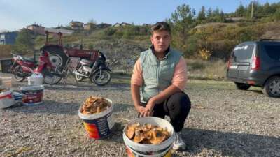 Bursa'nın Büyükorhan ilçesinde son yağışlarla