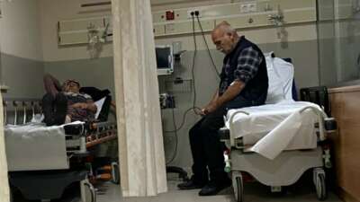 Ormandaki mantarları yiyen 7 kişi hastanelik oldu