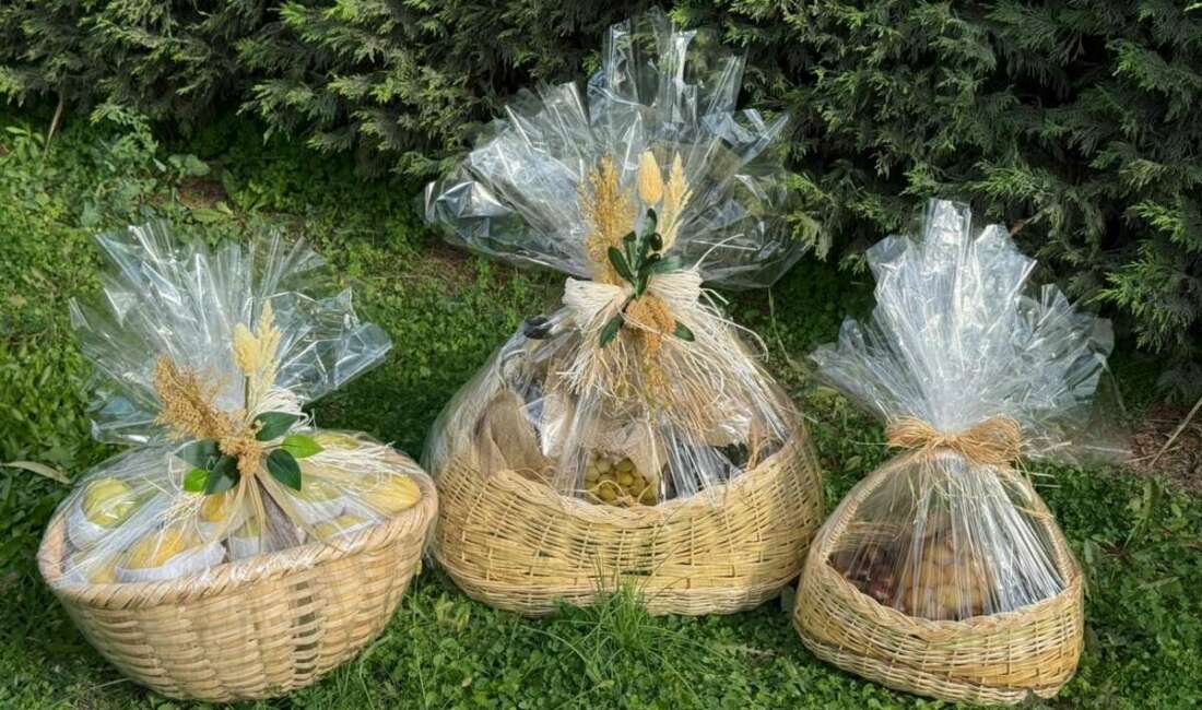 Papa 14. Leo’ya İznik