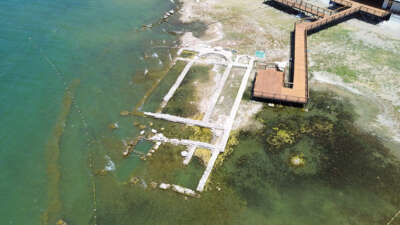 Papa’nın ayin yapacağı İznik bazilikası havadan görüntülendi