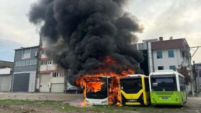 Park halindeki otobüsler cayır cayır yandı