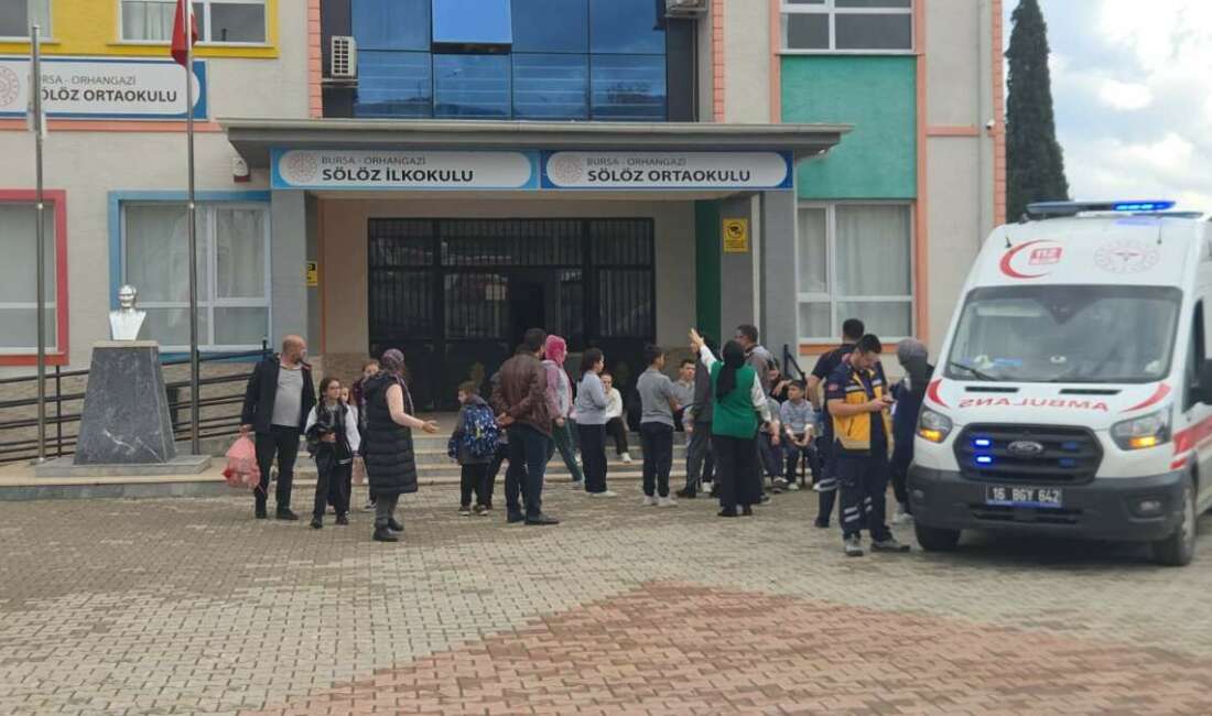 Bursa'nın Orhangazi ilçesinde bulunan