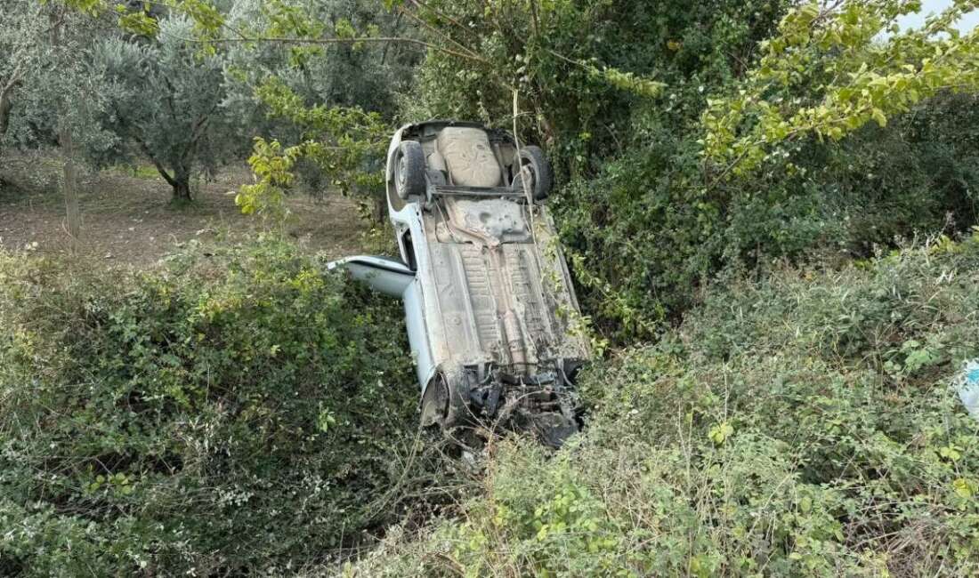 Sollama yaparken zeytinliğe uçtu Bursa'nın İznik ilçesinde sollama