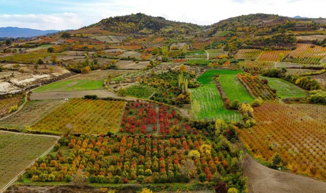Uludağ’ın eteklerinde sonbahar şöleni Uludağ’ın eteklerinde sonbaharın gelişiyle