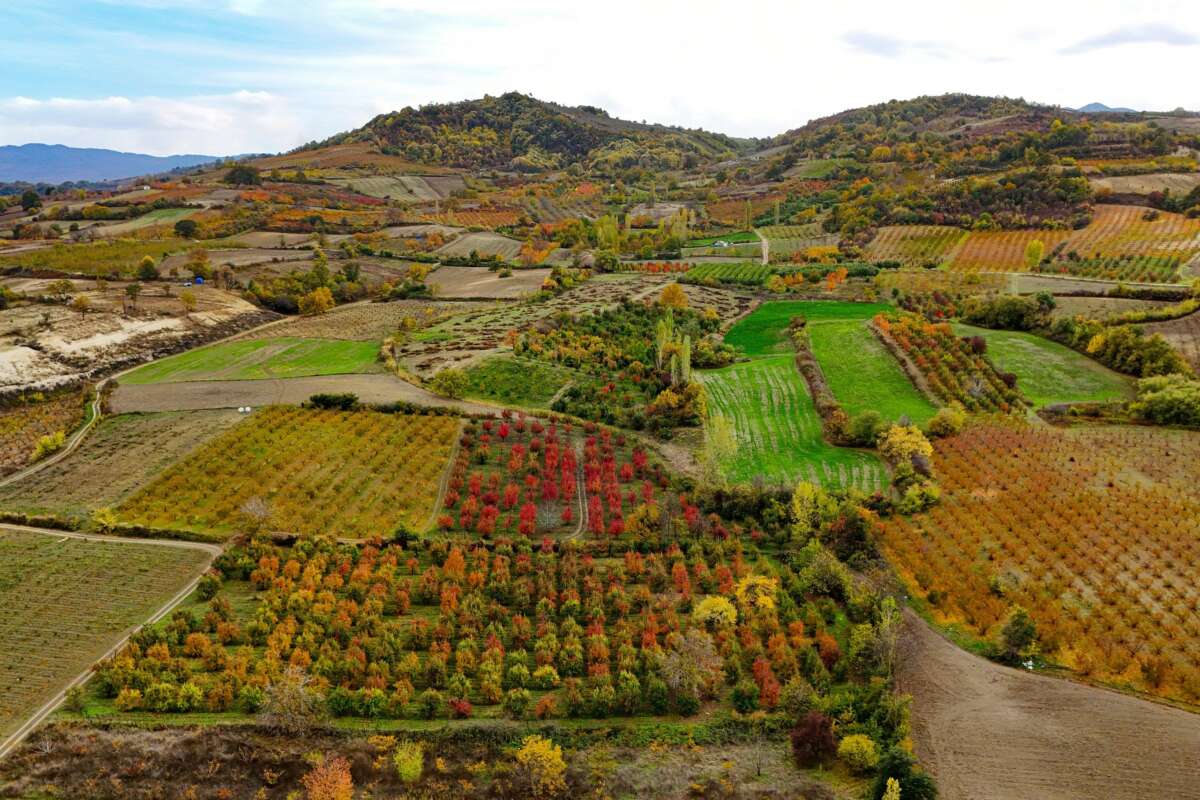 Uludağ’ın eteklerinde sonbahar şöleni
