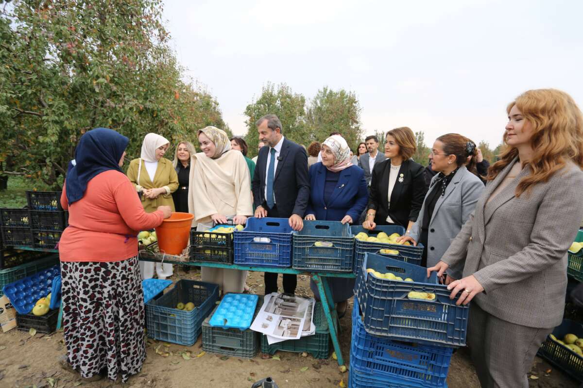 Topuklu iş kadınları ile şalvarlı köylü kadınları aynı tarlada