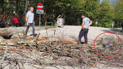 Geçtiğimiz hafta Mustafakemalpaşa ilçesinin Suuçtu