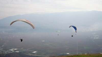 Yanan ormanlar için gökyüzünden paraşütle tohum yağdı