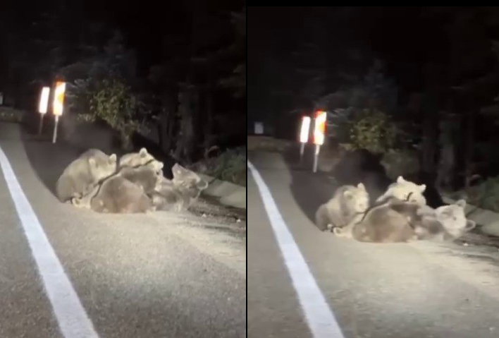 Bursa'da Uludağ yolunda kaydedilen