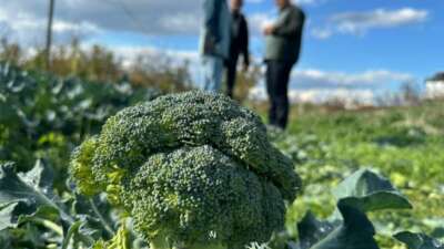 15 Aralık’ta okullarda “Coğrafi İşaret Günü” kutlanacak