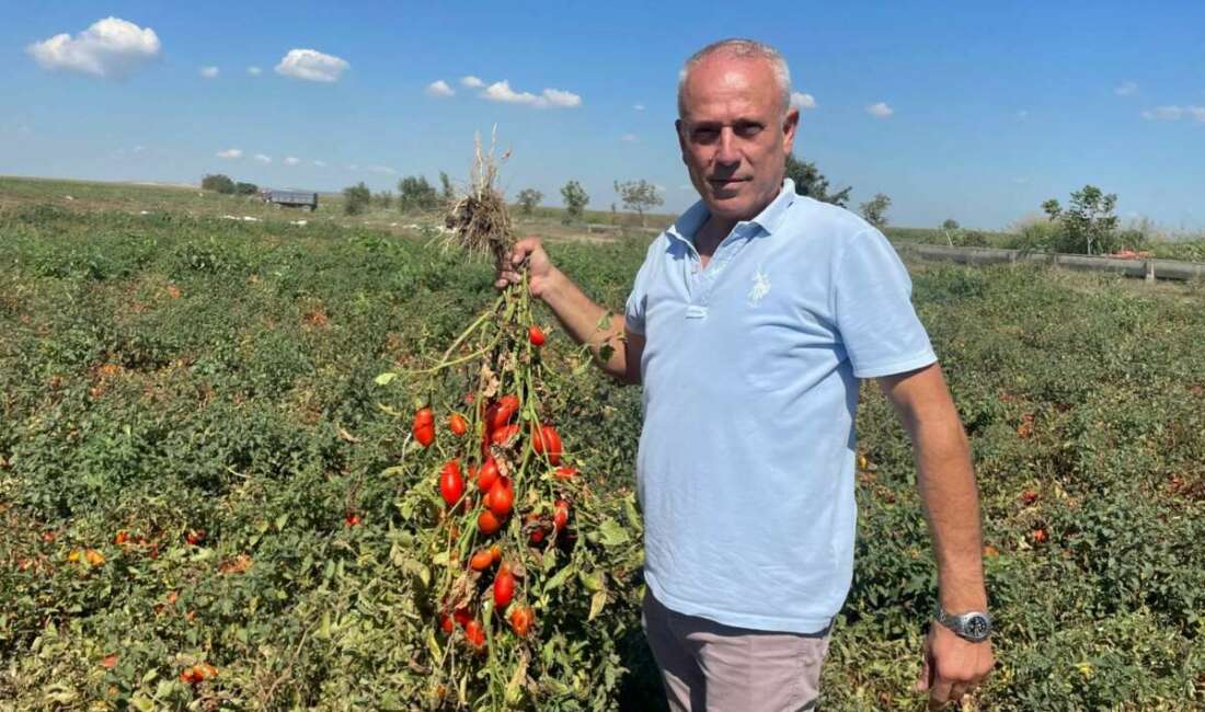 Dedesi seçimde muhtar oldu adına “Seçim” konuldu Bursa'nın Karacabey ilçesinde 1968