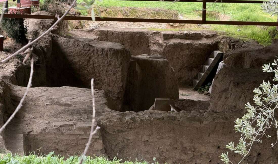 Papa 14. Leo'nun ziyaret