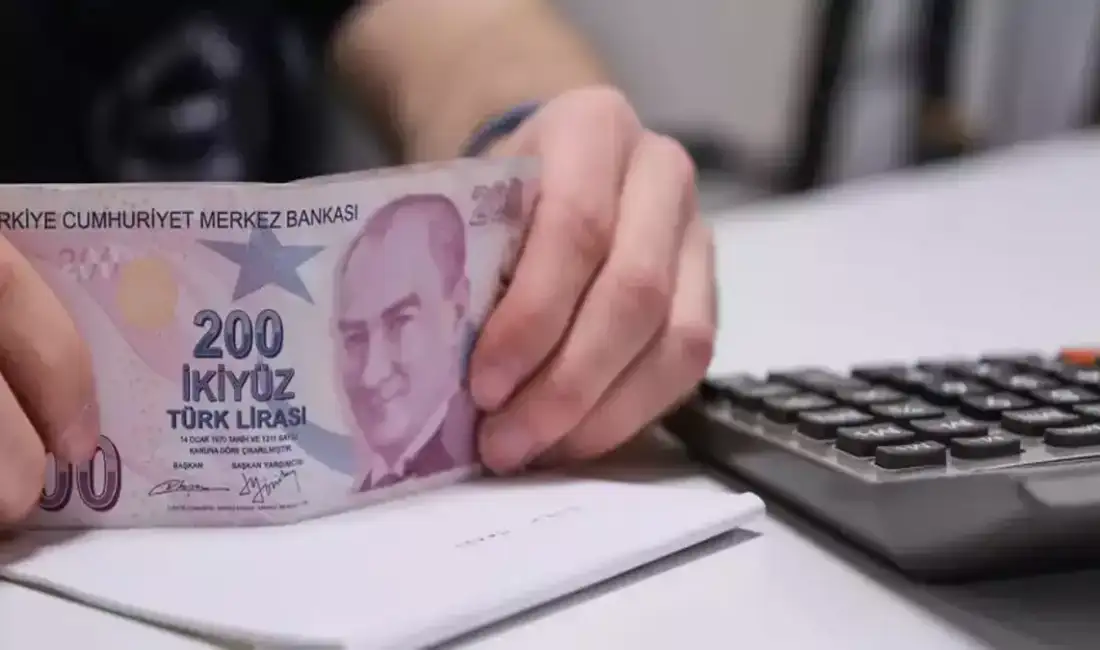 Anayasa Mahkemesi (AYM), sigorta