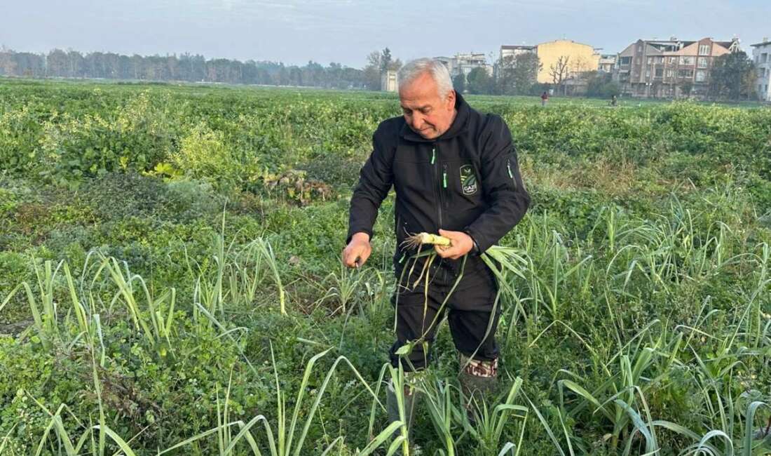 Osmangazi’de ata tohumu Kent Lokantası sofralarında Osmangazi Belediyesi iştiraki Gazi
