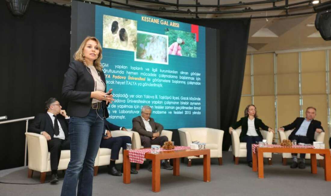 Bursa Büyükşehir Belediyesi, kentin