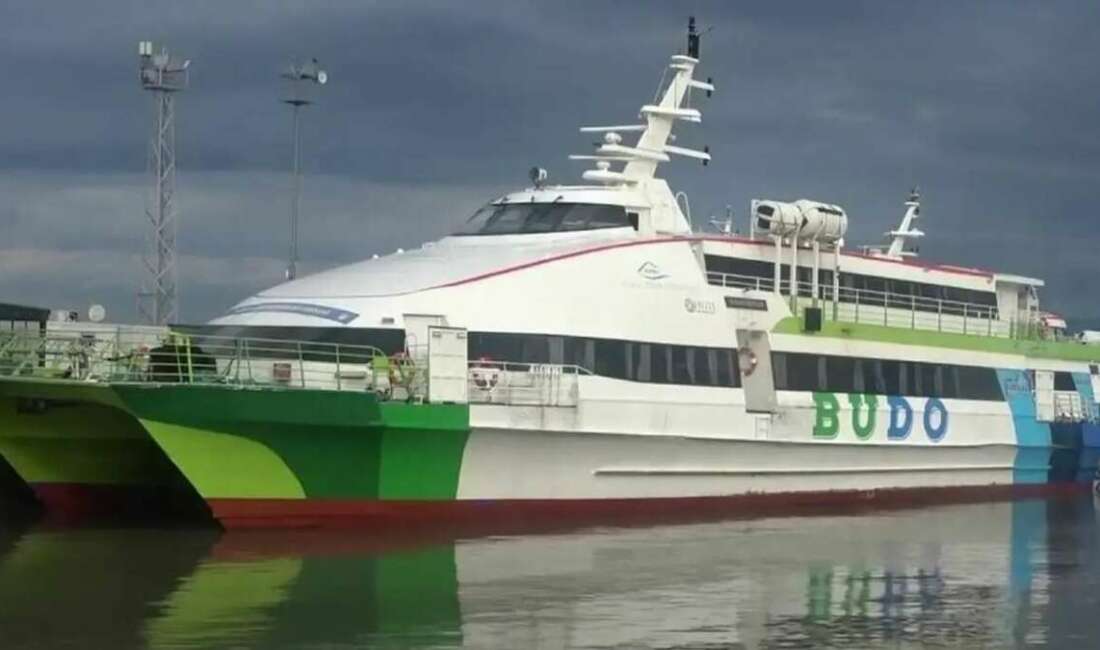 Bursa Deniz Otobüsleri (BUDO),