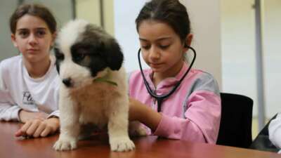 Bursa’da Minik veterinerler görev başında