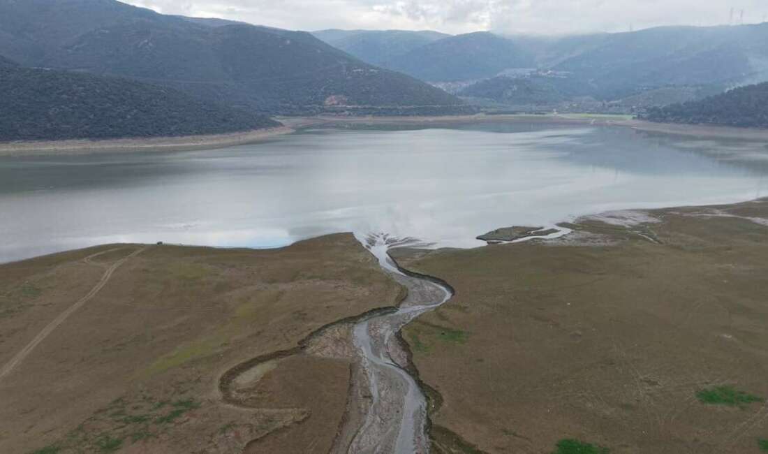 Bursa'nın şeftali, armut, siyah