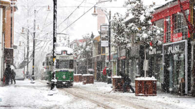Bursa’da yılbaşıyla birlikte Sibirya kökenli
