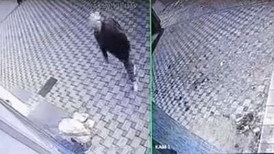 Bursa'da pazar yerinin yakınında bırakılan