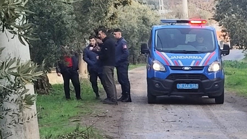 Bursa’nın Orhangazi ilçesinde zeytin