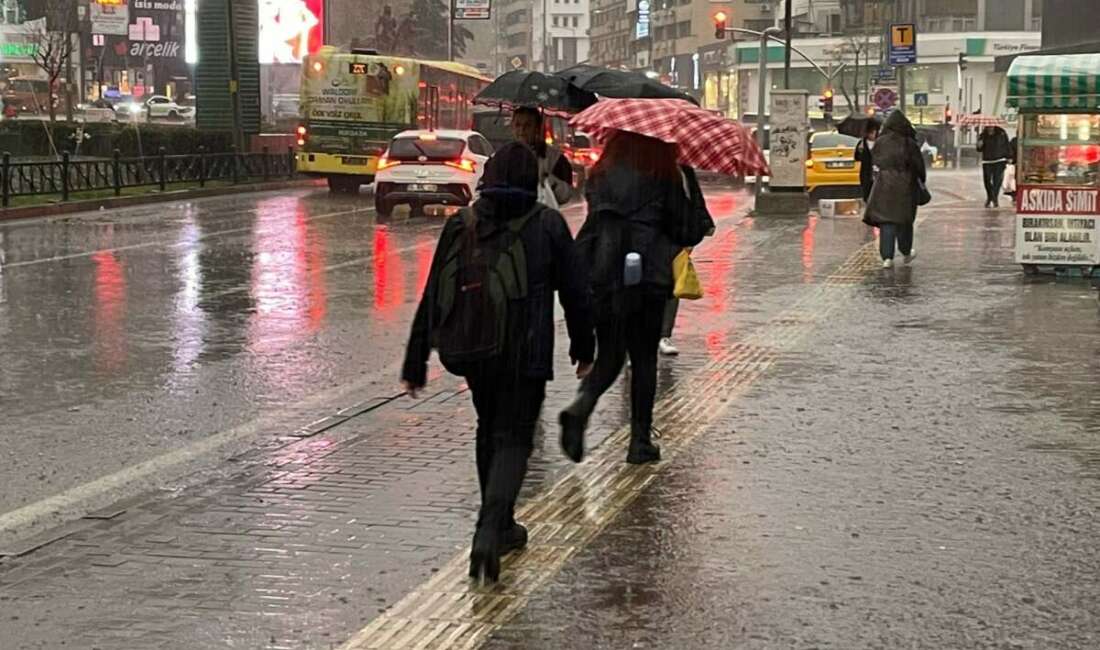 Bursalı çiftçilerin yağışlarla yüzü güldü Bursa merkez ile Yenişehir, Karacabey,