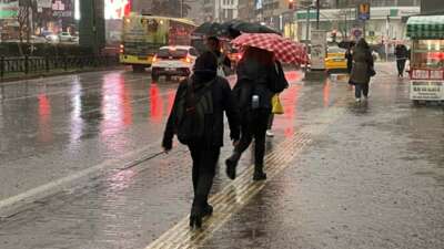 Bursalı çiftçilerin yağışlarla yüzü güldü