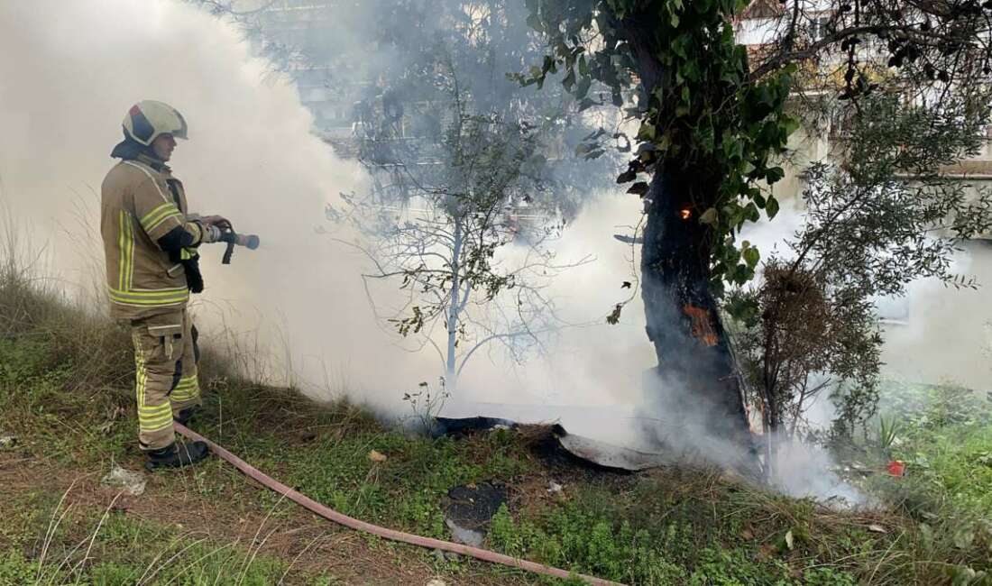 Çamlık alanda çıkan yangın büyümeden söndürüldü Bursa’nın Mudanya ilçesindeki çamlık