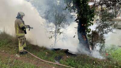 Çamlık alanda çıkan yangın büyümeden söndürüldü