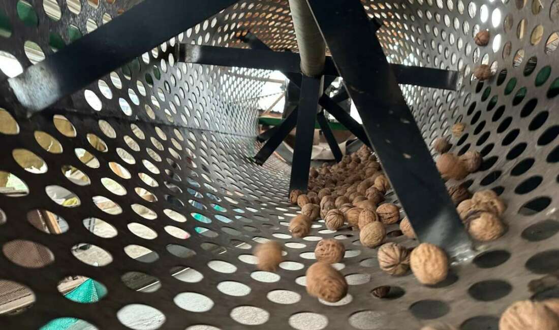 Bursa'nın İnegöl ilçesinin kırsal