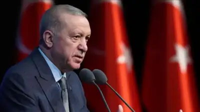 Cumhurbaşkanı Recep Tayyip Erdoğan, yeni
