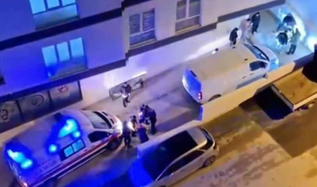 Demirtaş’ta başıboş köpek dehşeti 3 kişi yaralandı Bursa’nın Osmangazi ilçesinde başıboş