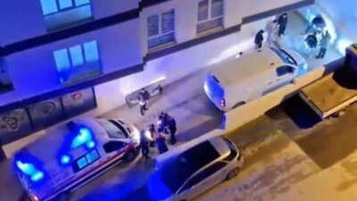 Bursa’nın Osmangazi ilçesinde başıboş bir