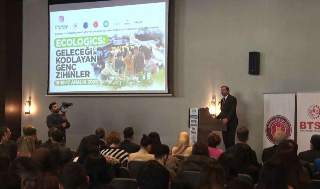 Gürsu Belediyesi, kamu, sanayi