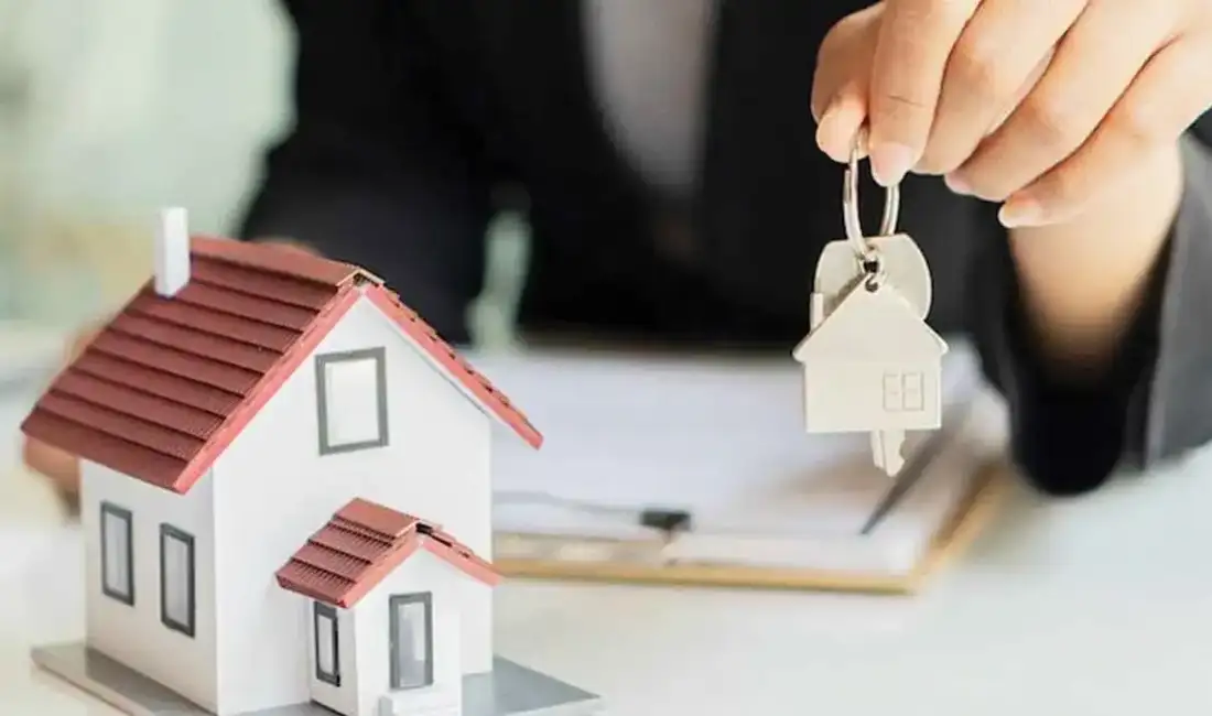 Merkez Bankası’nın faiz indirimleri,