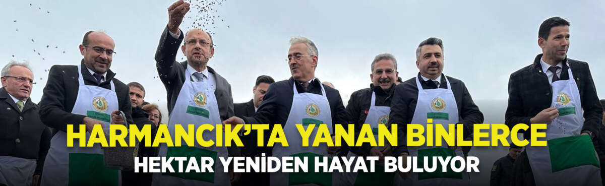 Bursa'nın Harmancık ilçesinde yaz aylarında