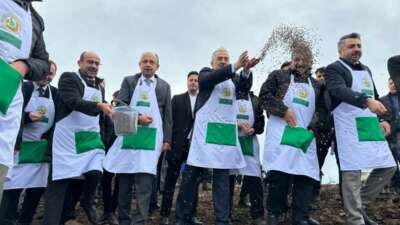 Harmancık’ta yanan binlerce hektar yeniden hayat buluyor