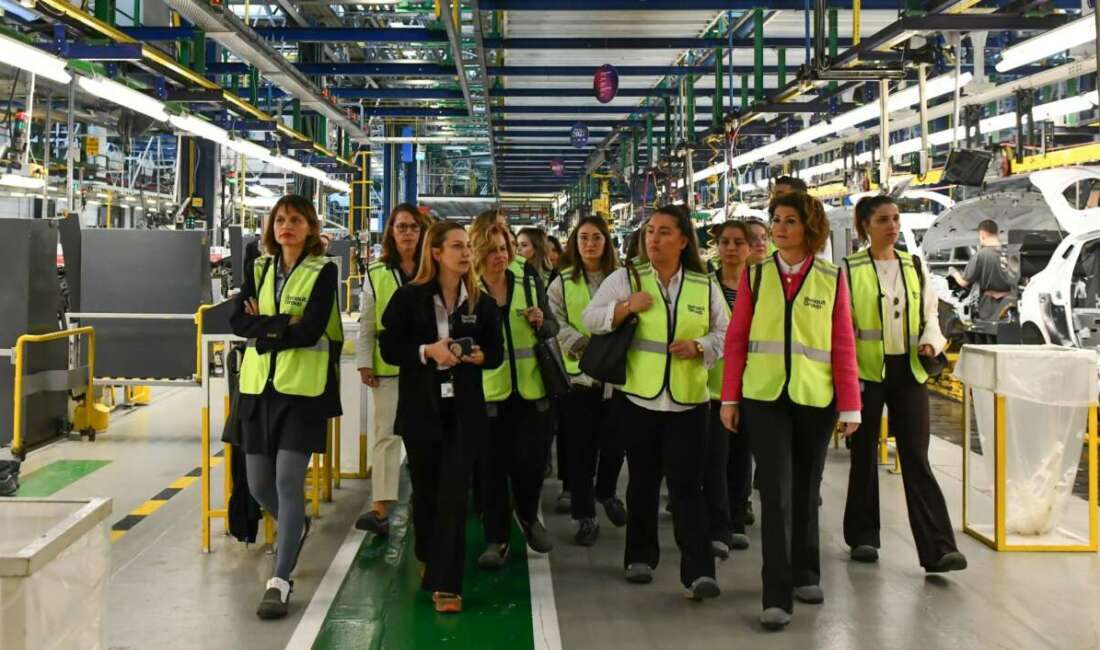 Toplumsal cinsiyet eşitliği ve