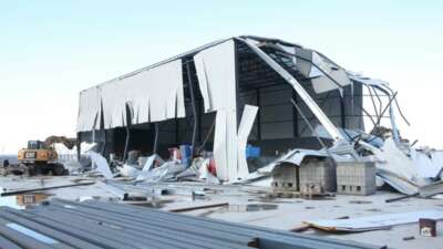 Nilüfer Belediyesi yıkım ekipleri, Çalı