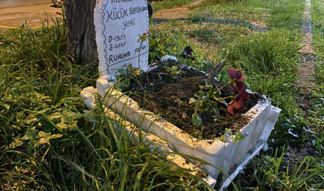 Taksicilerden vefa…Ölen muhabbet kuşları için mini mezar yaptılar Bursa'nın Mudanya ilçesinde taksi