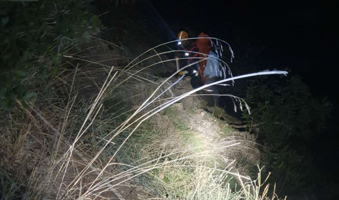 Ormanlık alanda mahsur kalan bir kişi kurtarıldı Bursa'nın Gürsu ilçesinde ormanlık